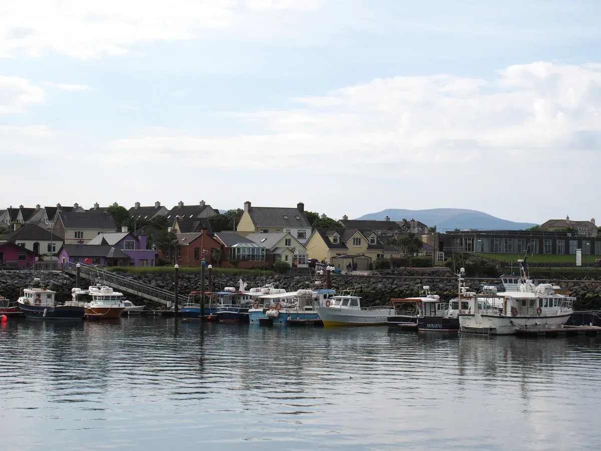 Dingle harbour and fishing boats on an Ireland tour of the Dingle Peninsula