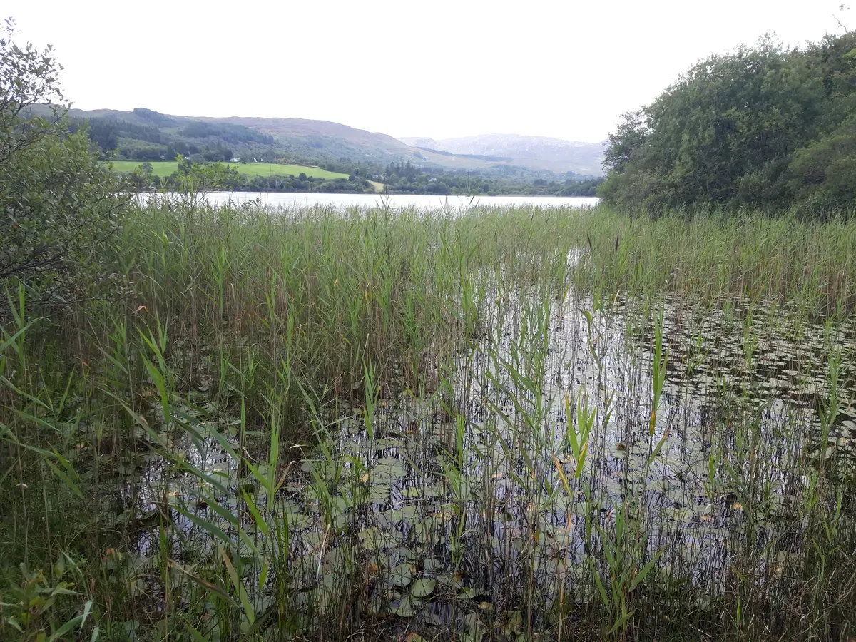 Lough Eske in County Donegal on a vacation tours of Ireland route